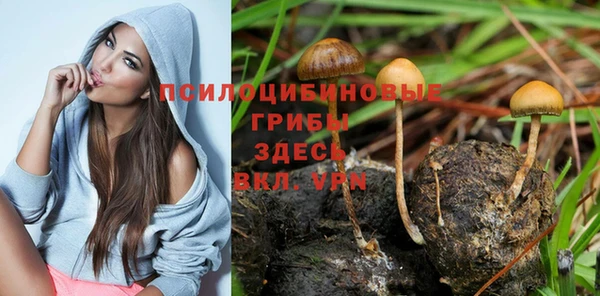 Альфа ПВП Арсеньев