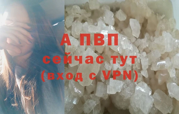 Альфа ПВП Арсеньев