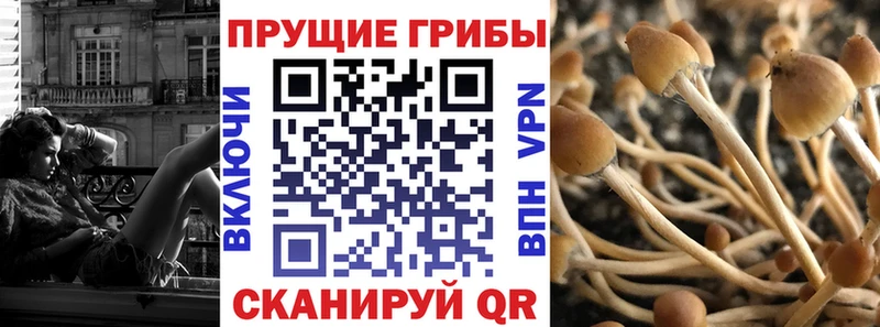 Галлюциногенные грибы мицелий  Купить где  Рошаль 